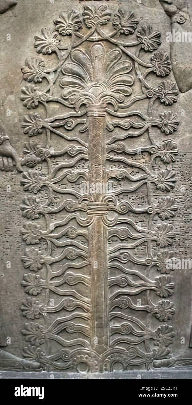 7501. Rilievo murale di Ninveh raffigurante l'albero Santo di Eridu, Kiškanu, secondo la mitologia mesopotamica. Foto Stock