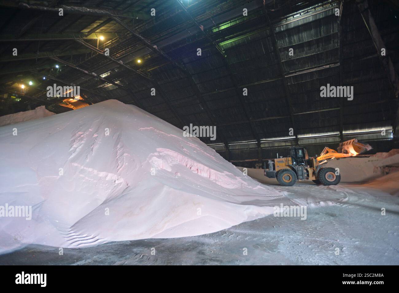 Semarang, Semarang, Indonesia. 4 febbraio 2025. I lavoratori svolgono attività di carico e scarico e confezionano fertilizzanti prima di essere distribuiti nella regione di Giava dell'unità di insaccamento Pupuk Indonesia a Semarang, Giava centrale, il 4 febbraio 2025. L'unità di insaccamento Pupuk Indonesia è in grado di distribuire in media 2000 tonnellate di fertilizzante all'urea al giorno, per un totale di 500 mila tonnellate di insaccamento all'anno. Fertilizzante a base di urea sovvenzionato che verrà distribuito agli agricoltori, il fertilizzante a base di urea è un fertilizzante chimico che contiene l'elemento azoto (N) per aumentare il contenuto di azoto nel suolo S Foto Stock