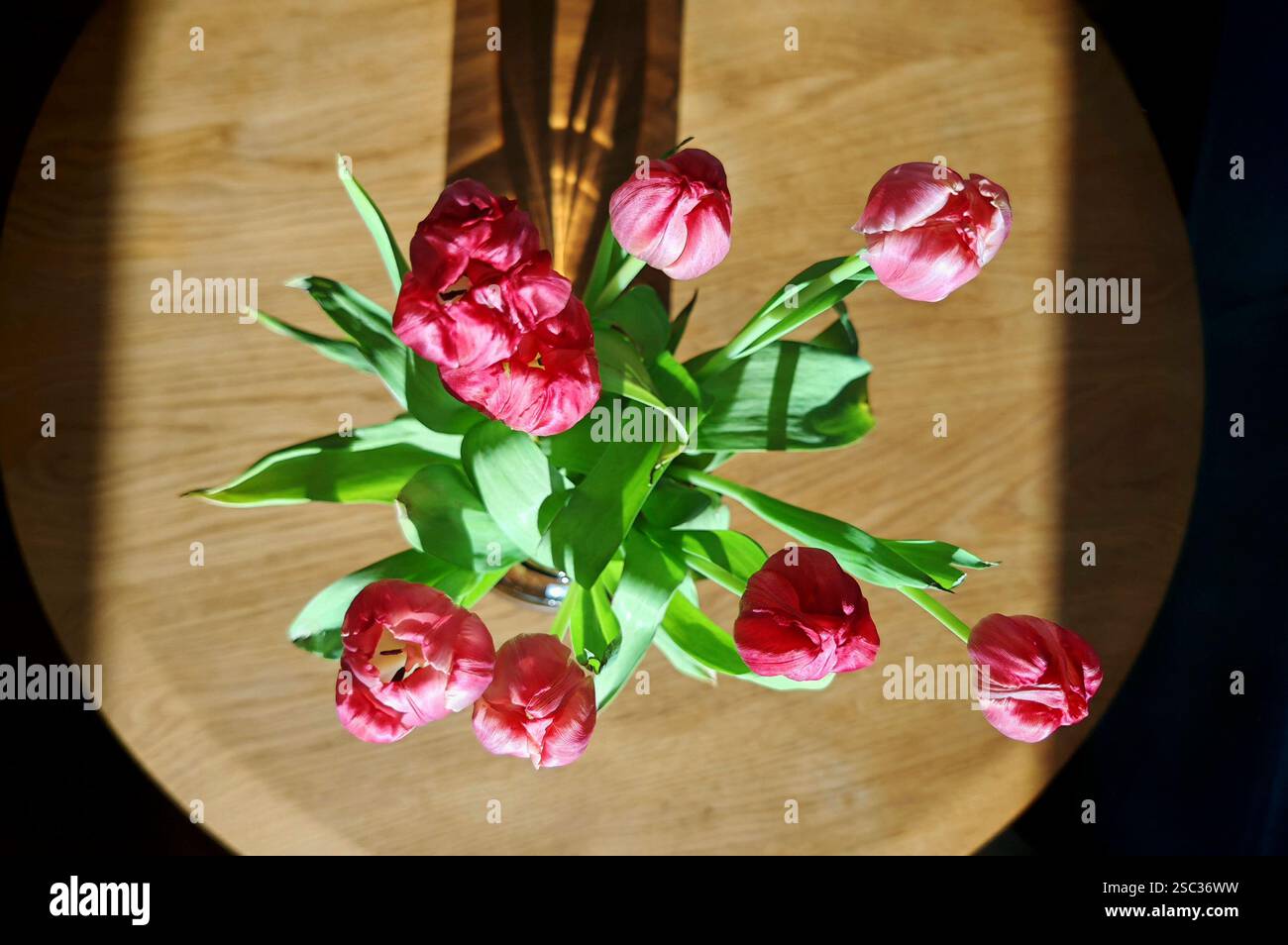 rivitalizzazione degli interni di un edificio e di una struttura, lavori di costruzione e conservazione rivitalizzazione degli interni di un edificio Foto Stock