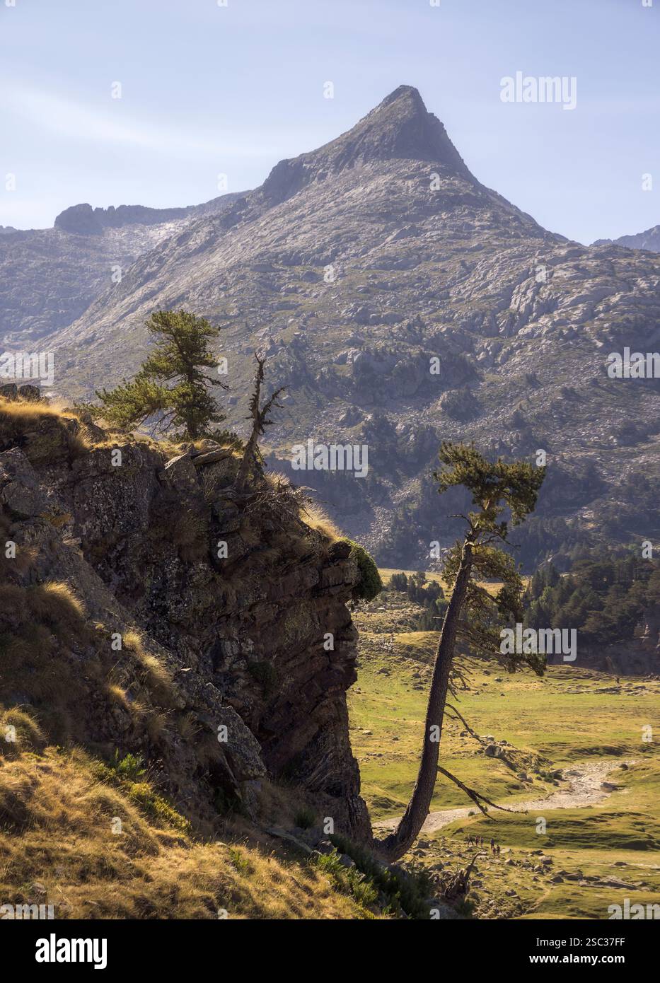 Montagne torreggianti e alberi contorti creano un paesaggio mozzafiato nei Pirenei spagnoli Foto Stock