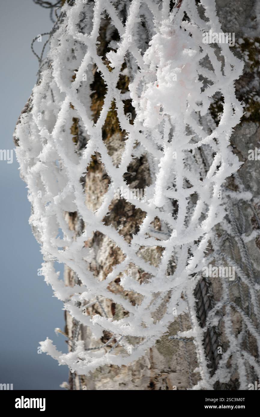 Primo piano di rete ghiacciata bianca congelata in inverno Foto Stock