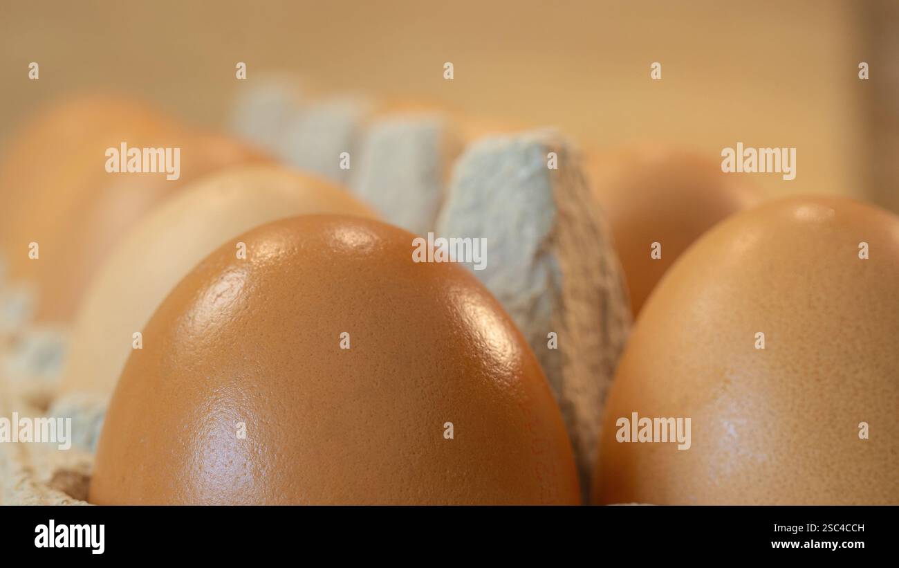 primo piano delle uova di gallina nella scatola di cartone Foto Stock