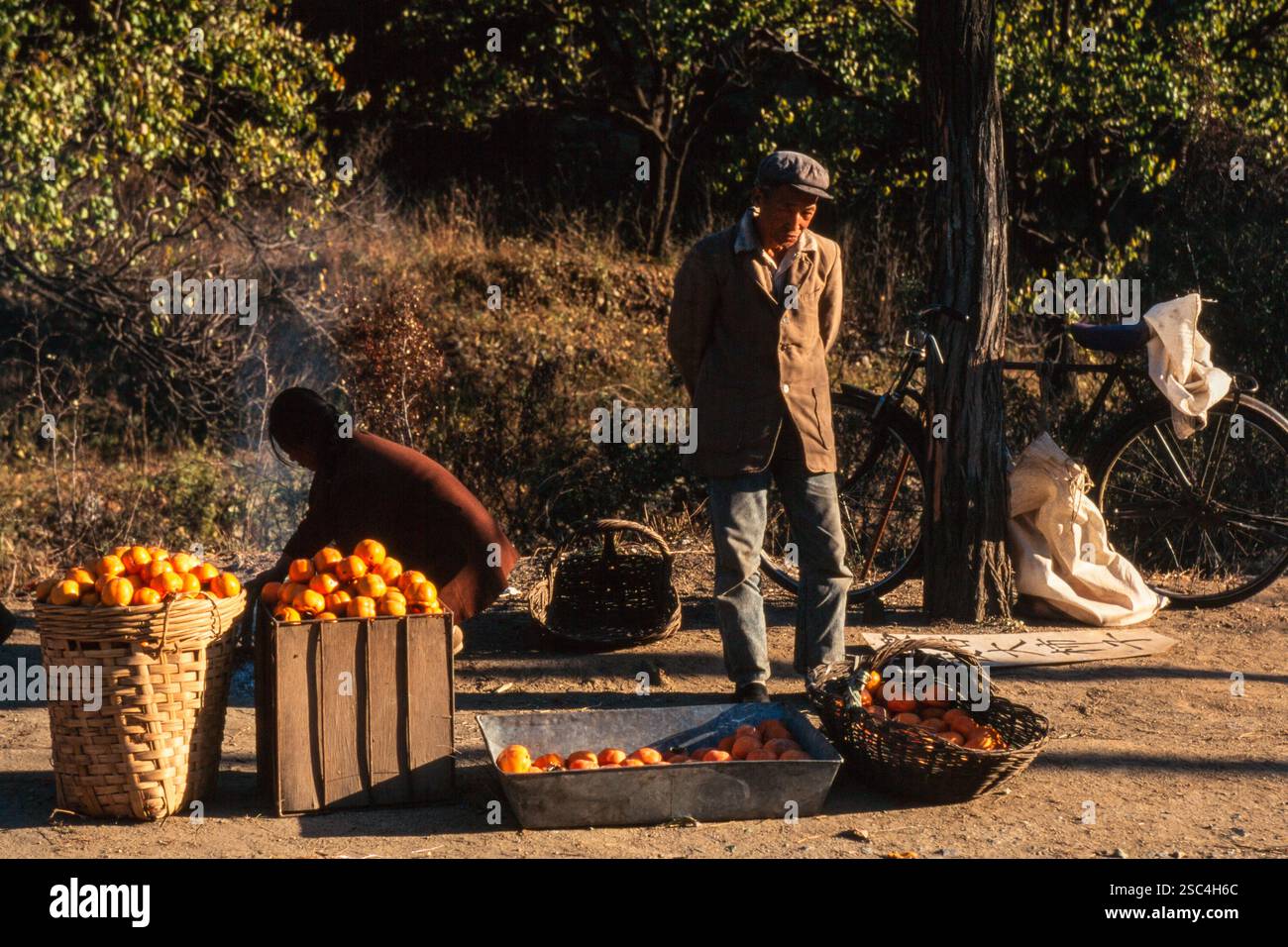 Un venditore su strada con cesti di arance si trova accanto a una bicicletta in un ambiente rurale. Foto Stock