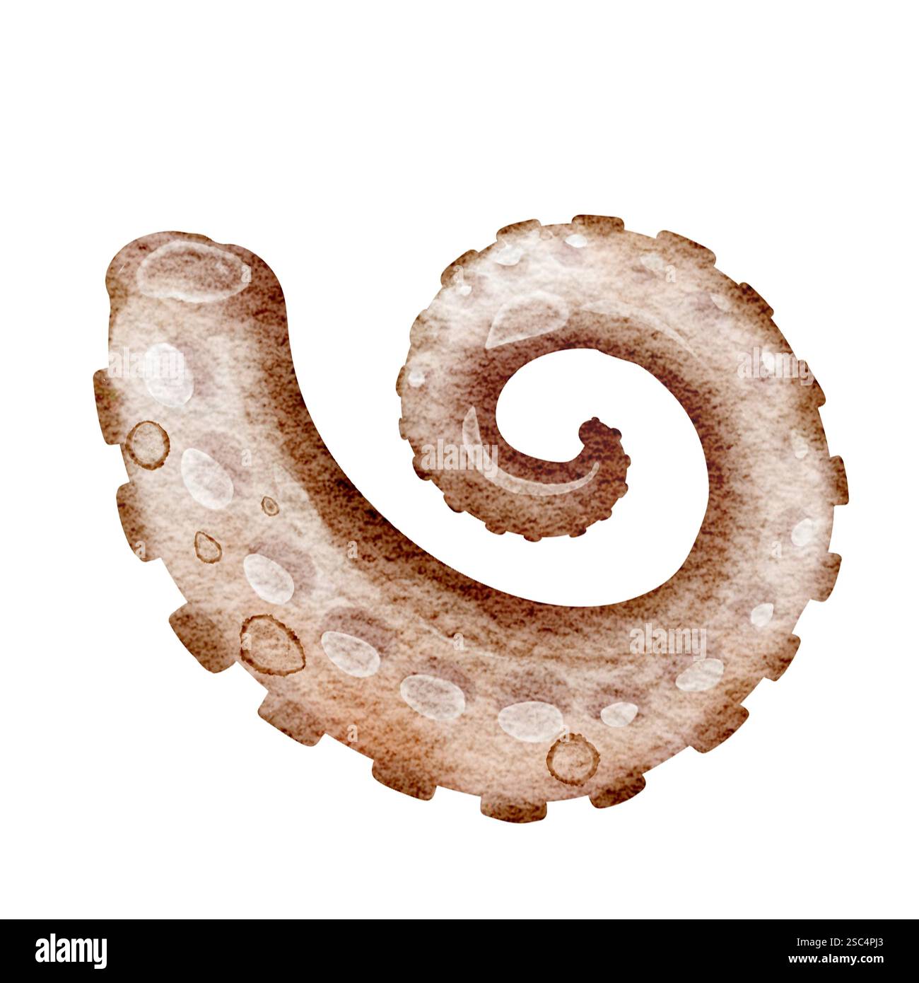 Illustrazione acquerello tentacoli polpo su sfondo bianco Foto Stock