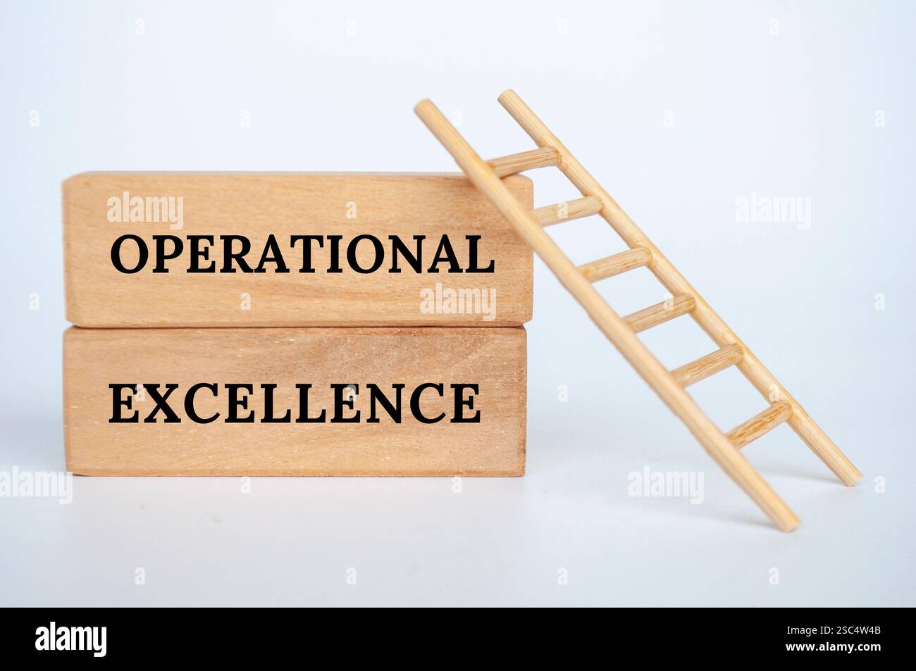 Testo Operational Excellence su blocchi di legno con sfondo a scala ridotta. Concetto di business. Foto Stock