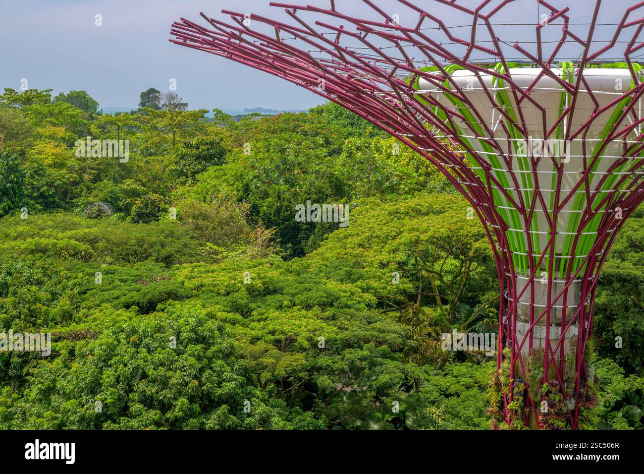 Gli ingegnosi giardini verticali di Supertree Grove nei Giardini di Singapore sulla Baia Foto Stock