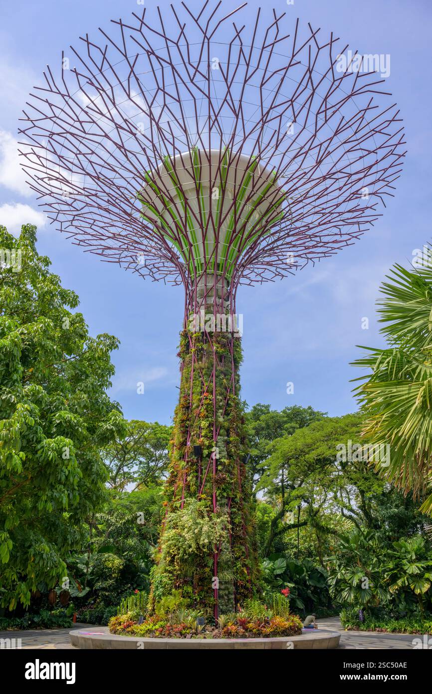 Gli ingegnosi giardini verticali di Supertree Grove nei Giardini di Singapore sulla Baia Foto Stock