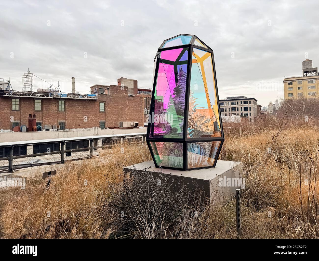 Sulla crescita dell'artista concettuale, Kapwani Kiwanga. Scultura di una felce racchiusa in vetro sulla High Line, un parco pubblico di New York Foto Stock