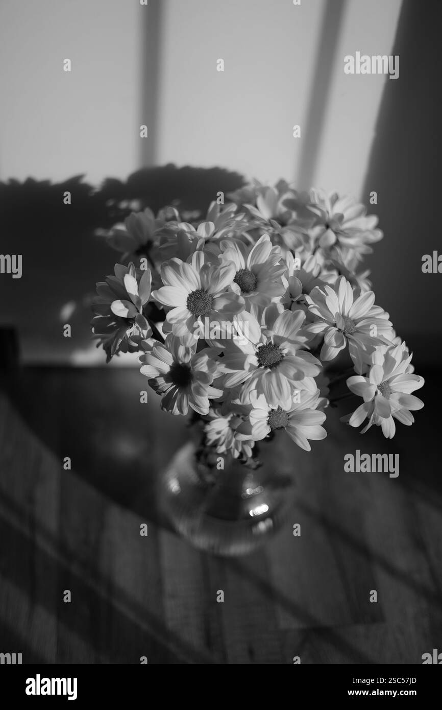 bouquet di fiori arancio tulipani margherite cartolina regalo per le vacanze in bianco e nero Foto Stock