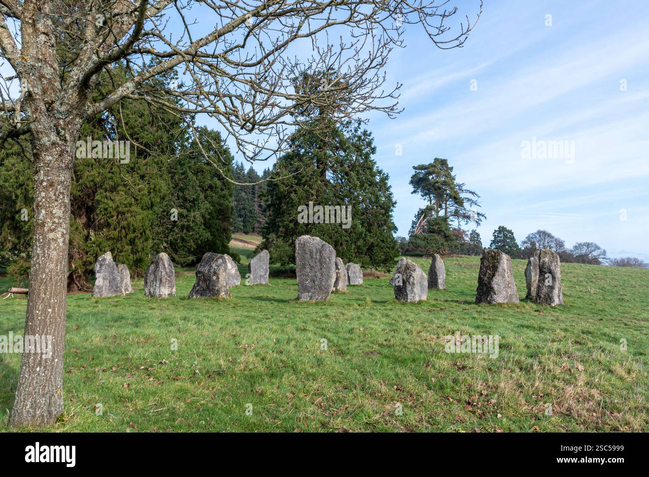 The Dragonstones on Hascombe Hill, un moderno cerchio di pietre nel Surrey Hills National Landscape, Surrey, Inghilterra, Regno Unito, durante l'inverno Foto Stock