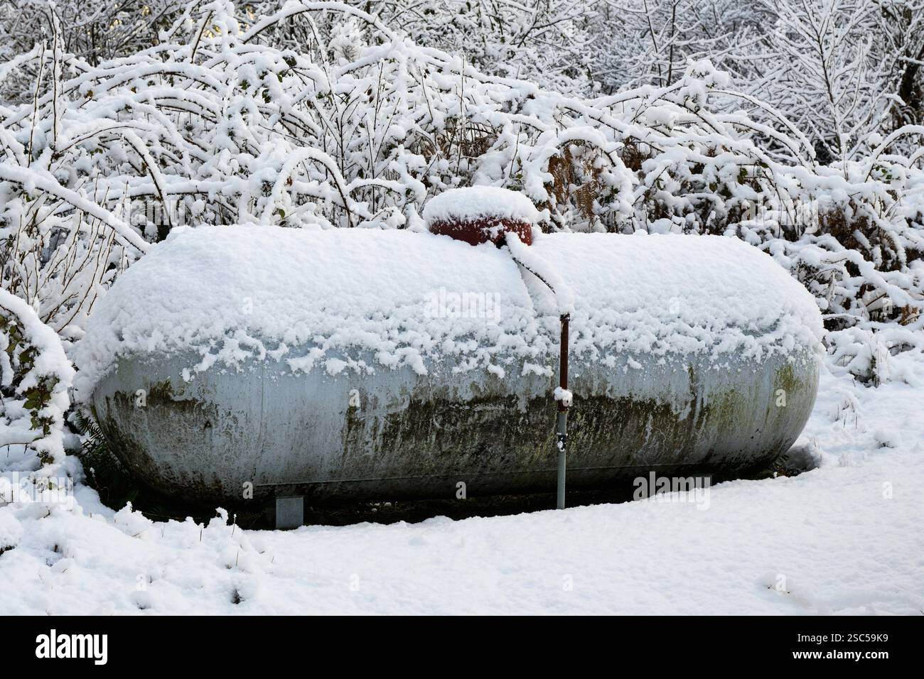 Serbatoio di propano residenziale coperto di neve in inverno Foto Stock
