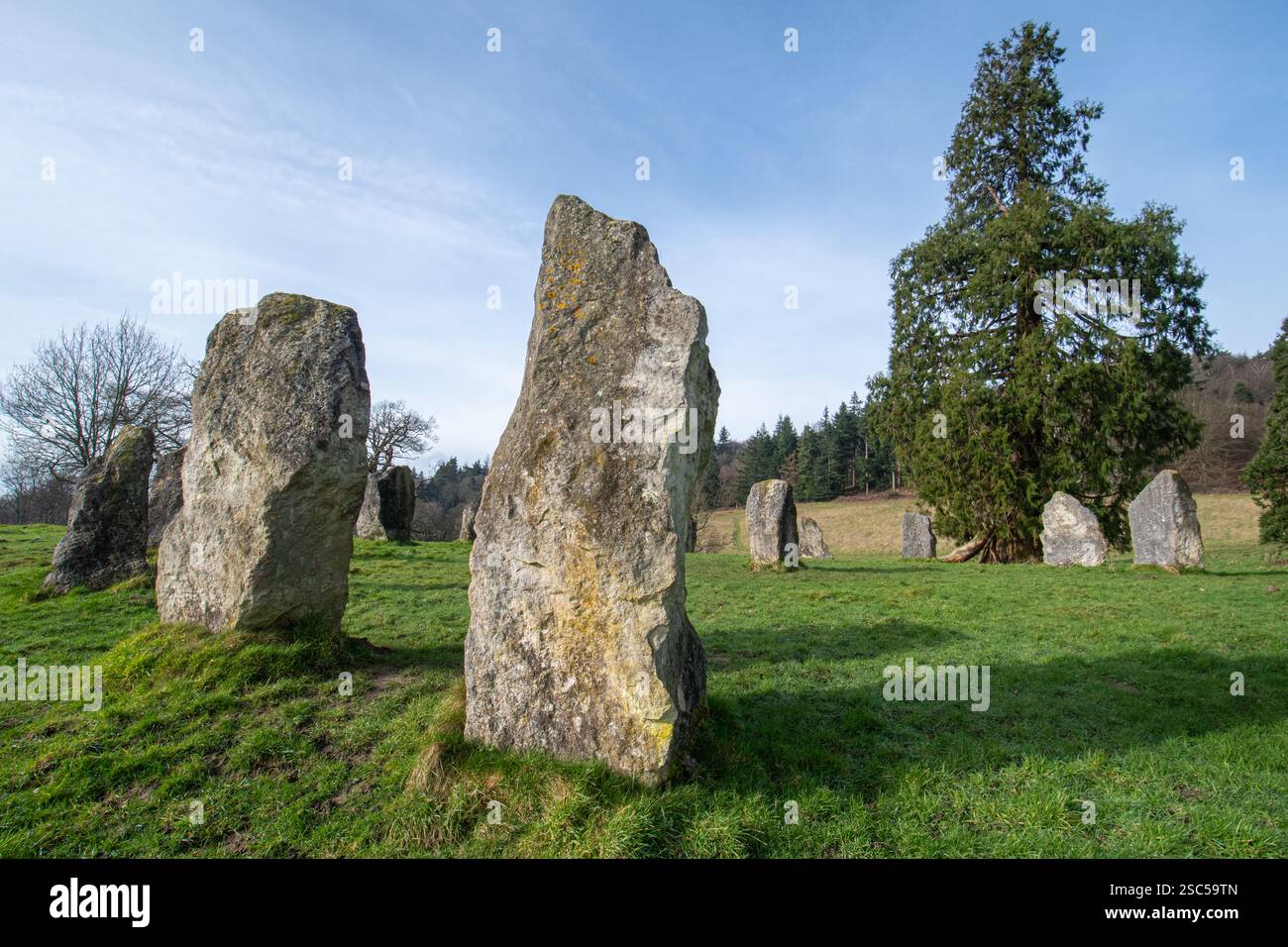 The Dragonstones on Hascombe Hill, un moderno cerchio di pietre nel Surrey Hills National Landscape, Surrey, Inghilterra, Regno Unito, durante l'inverno Foto Stock