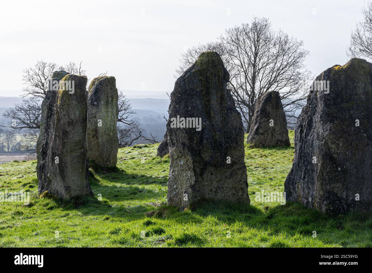 The Dragonstones on Hascombe Hill, un moderno cerchio di pietre nel Surrey Hills National Landscape, Surrey, Inghilterra, Regno Unito, durante l'inverno Foto Stock