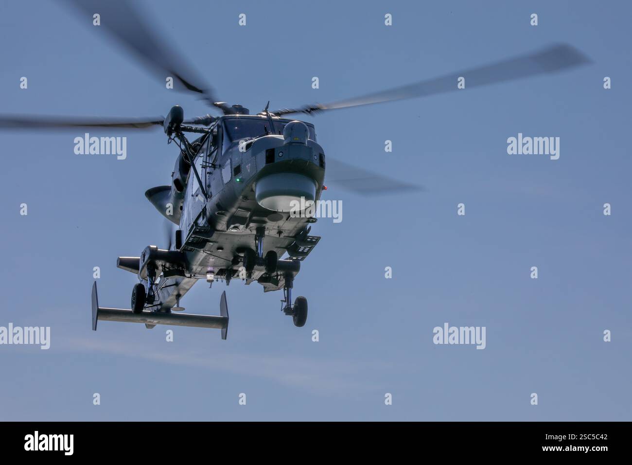 Royal Navy Wildcat HMA2 elicottero di 815 Naval Air Squadron che fornisce gli elicotteri (piccole navi voli) per fregate e cacciatorpediniere Foto Stock