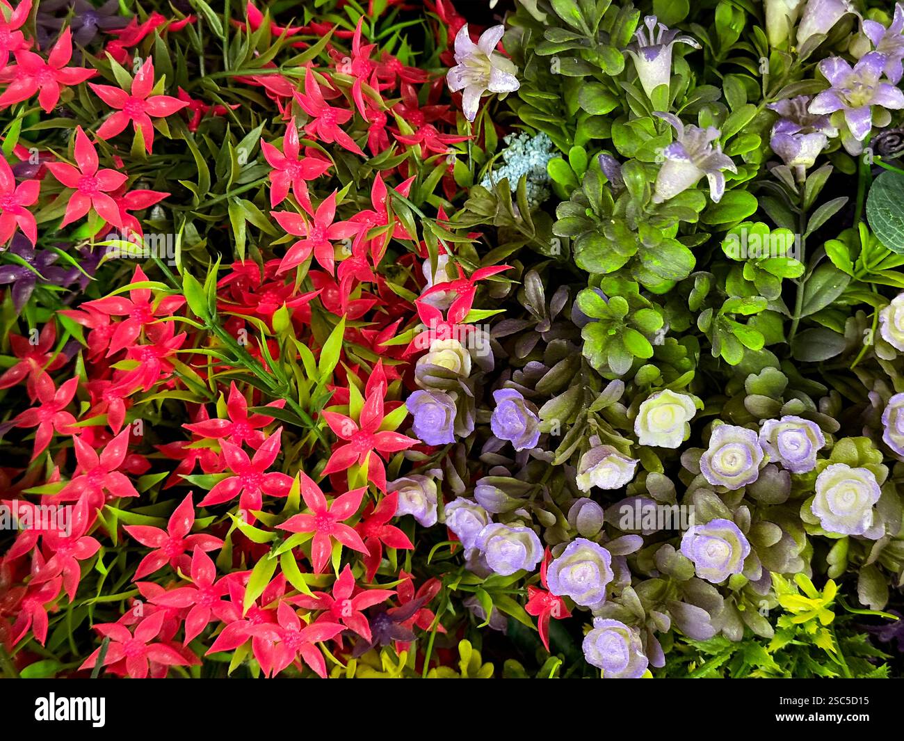 Serie di fiori freschi decorativi e colorati esposti in modo ordinato. Rosa, margherita, garofano, crisantemo, aster, e ortensie fiorite in molti colori. Beaut Foto Stock