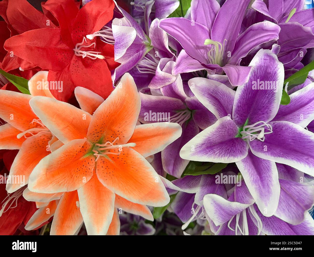Primo piano di fiori decorativi di giglio pasquale rossi, arancioni e viola. Chiamato anche giglio tromba. Decorazione floreale dei gigli texture dello sfondo senza cuciture Foto Stock
