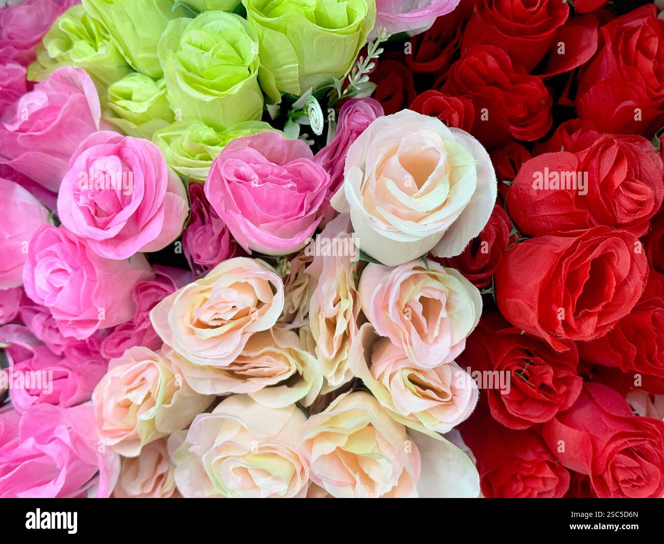 Splendidi fiori di rosa disposti in vari colori, dal rosso, al marrone, al viola, al rosa. Serie di coloratissimi bouquet di fiori di rosa fondo senza cuciture Foto Stock