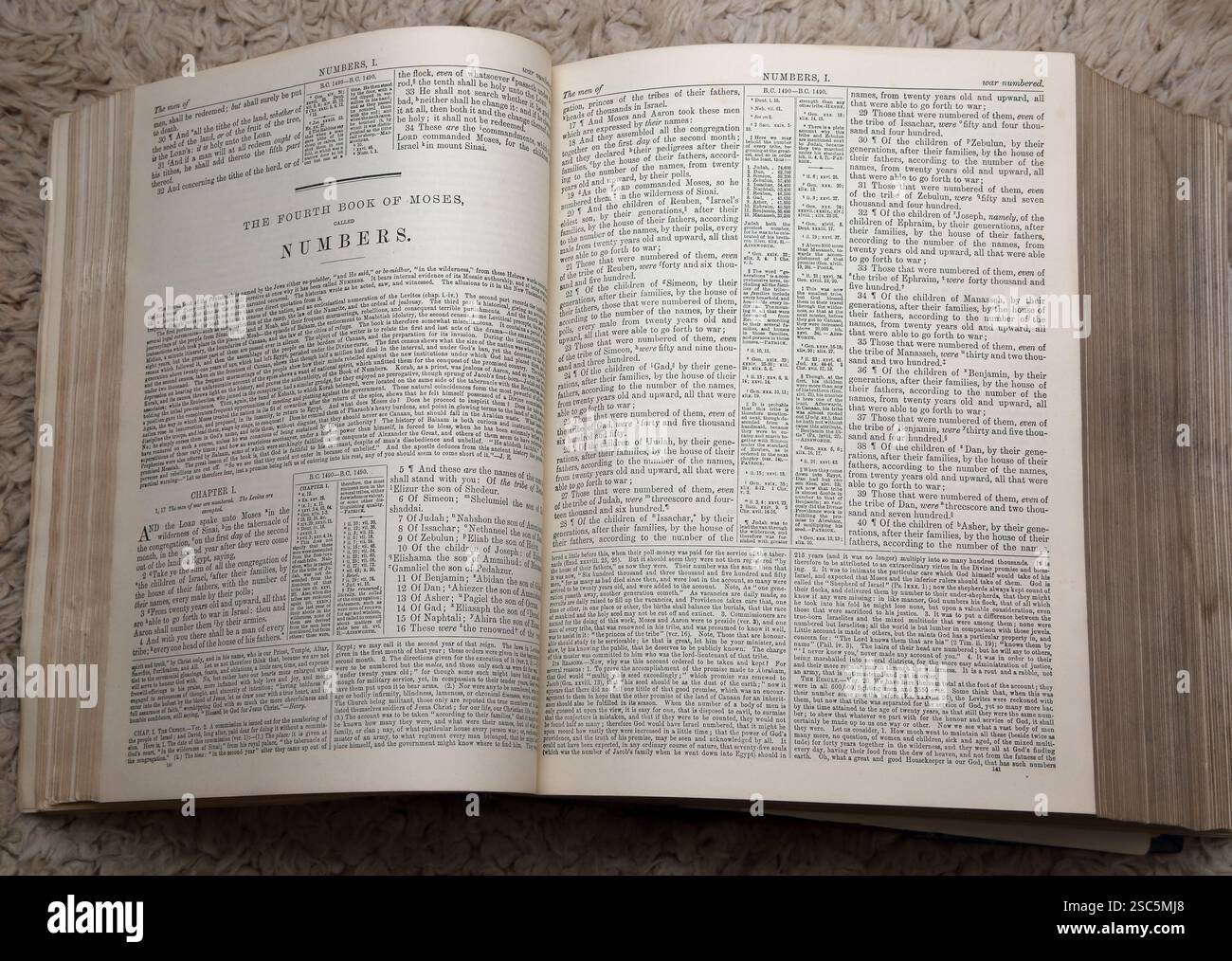 Bibbia aperta che mostra il testo dei numeri (il quarto Libro di Mosè) Antico Testamento nell'Antico XIX secolo la Bibbia illustrata della famiglia Nazionale con la C Foto Stock