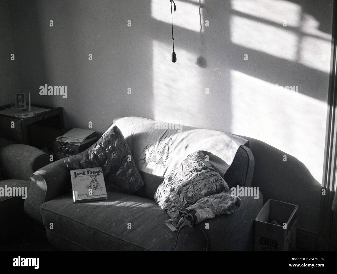 nel 1960, il quadro storico mostra un piccolo divano rivestito in velcro dell'epoca, con una luce a scomparsa sopra. Sul divano, un libro illustrato Just Dogs, Pencil and Pen Sketches di K F Barker. Un'opera classica, è stata sottotitolata; Un libro di delizia per ogni proprietario di cane, è stato pubblicato per la prima volta nel 1933. Foto Stock