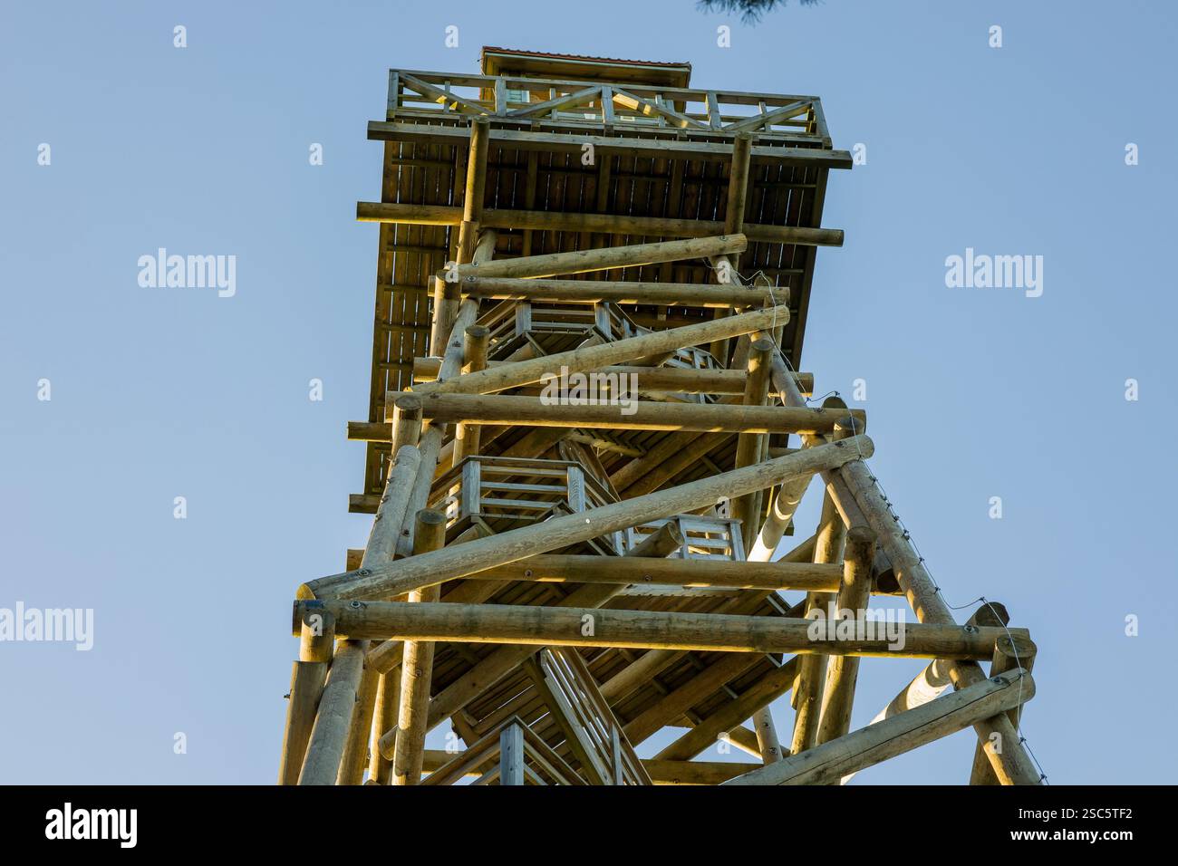 Torre di osservazione in legno contro un cielo blu limpido. Vista ad angolo basso che enfatizza altezza e struttura. Perfetto per architettura, viaggi o attività all'aperto Foto Stock