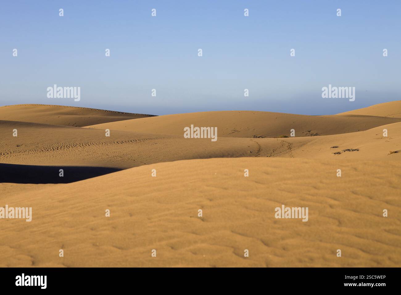 Dune di Maspalomas a Gran Canaria. Dune di sabbia con motivi, ombre e impronte deboli. Paesaggio desertico minimalista. Perfetto per la natura, t Foto Stock