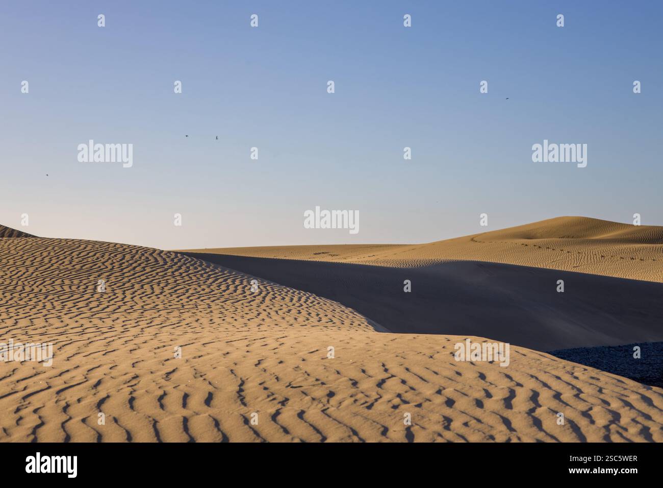 Dune di Maspalomas a Gran Canaria. Dune di sabbia con motivi, ombre e impronte deboli. Paesaggio desertico minimalista. Perfetto per la natura, t Foto Stock