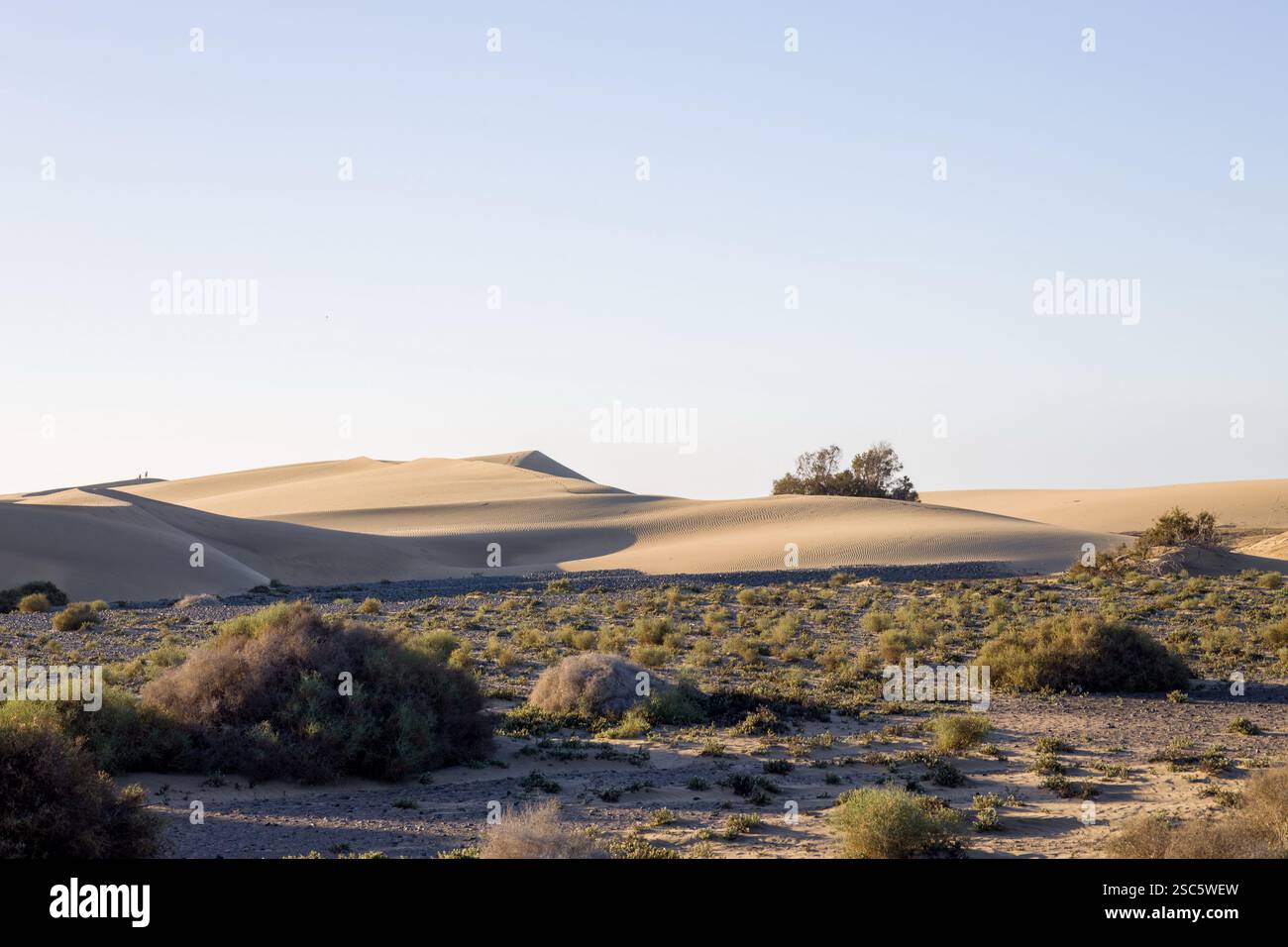 Dune di Maspalomas a Gran Canaria. Dune di sabbia con motivi, ombre e impronte deboli. Paesaggio desertico minimalista. Perfetto per la natura, t Foto Stock