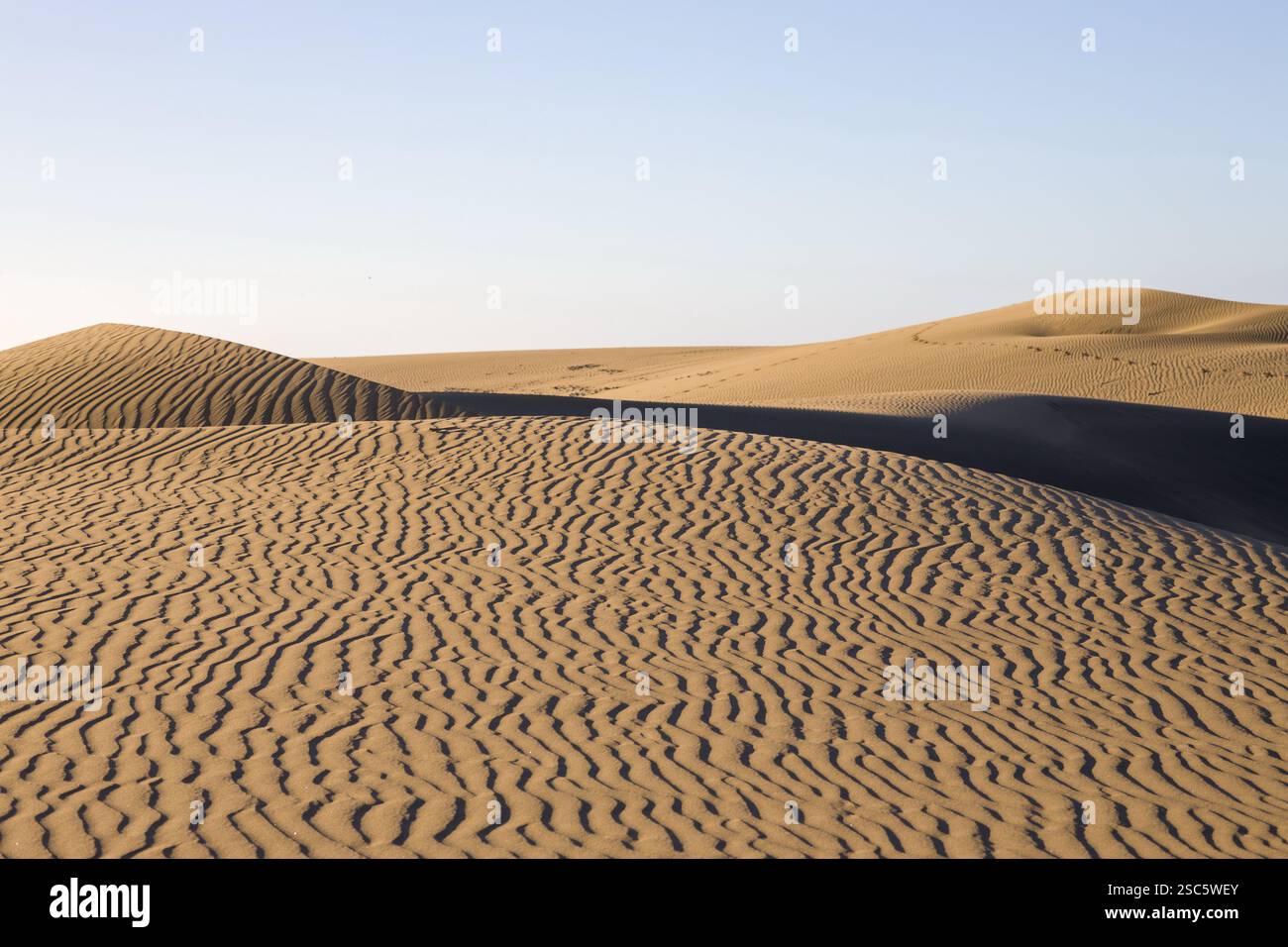 Dune di Maspalomas a Gran Canaria. Dune di sabbia con motivi, ombre e impronte deboli. Paesaggio desertico minimalista. Perfetto per la natura, t Foto Stock