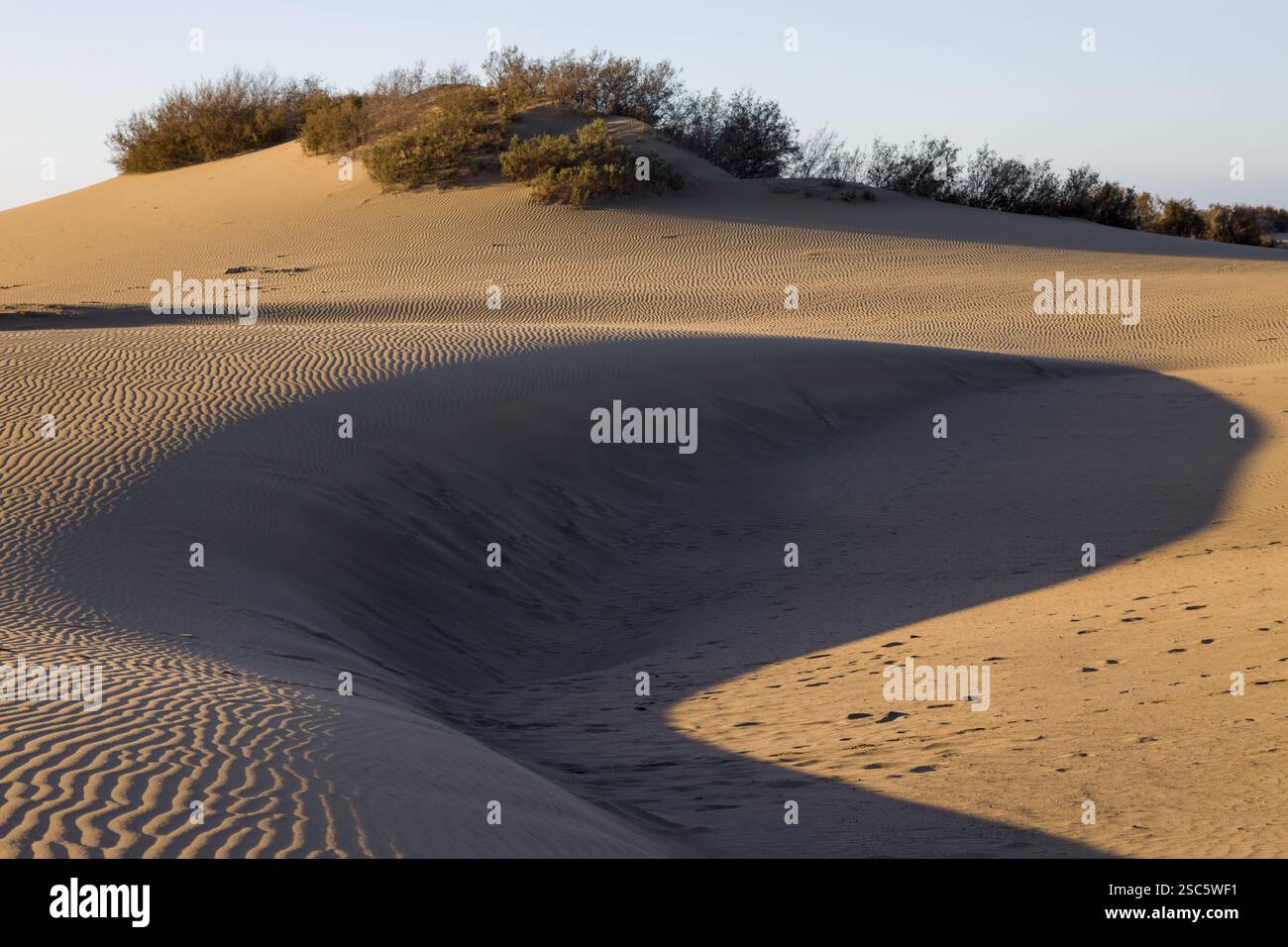 Dune di Maspalomas a Gran Canaria. Dune di sabbia con motivi, ombre e impronte deboli. Paesaggio desertico minimalista. Perfetto per la natura, t Foto Stock