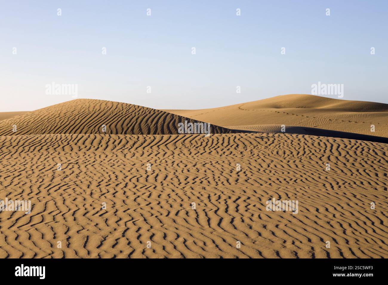 Dune di Maspalomas a Gran Canaria. Dune di sabbia con motivi, ombre e impronte deboli. Paesaggio desertico minimalista. Perfetto per la natura, t Foto Stock