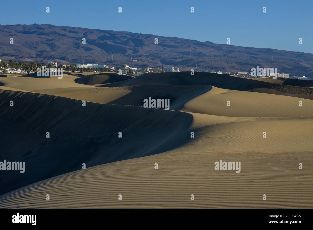 Dune di Maspalomas a Gran Canaria. Dune di sabbia con motivi, ombre e impronte deboli. Paesaggio desertico minimalista. Perfetto per la natura, t Foto Stock