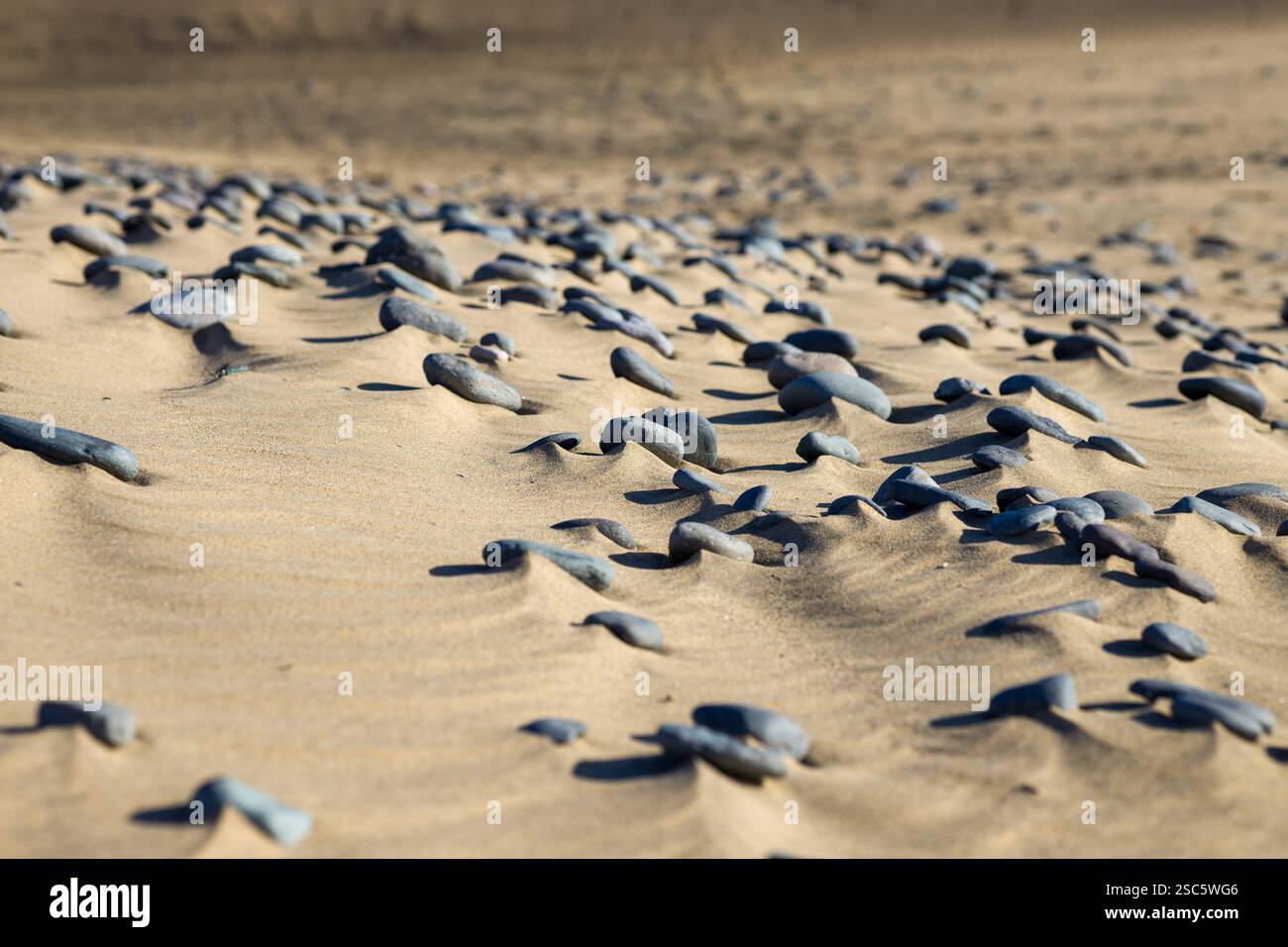Dune di Maspalomas a Gran Canaria. Dune di sabbia con motivi, ombre e impronte deboli. Paesaggio desertico minimalista. Perfetto per la natura, t Foto Stock