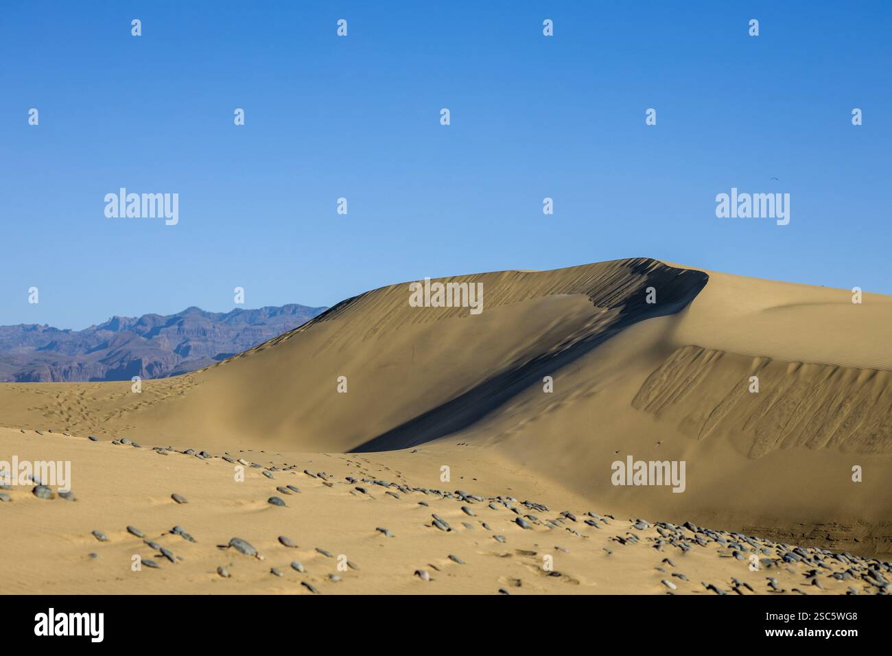 Dune di Maspalomas a Gran Canaria. Dune di sabbia con motivi, ombre e impronte deboli. Paesaggio desertico minimalista. Perfetto per la natura, t Foto Stock