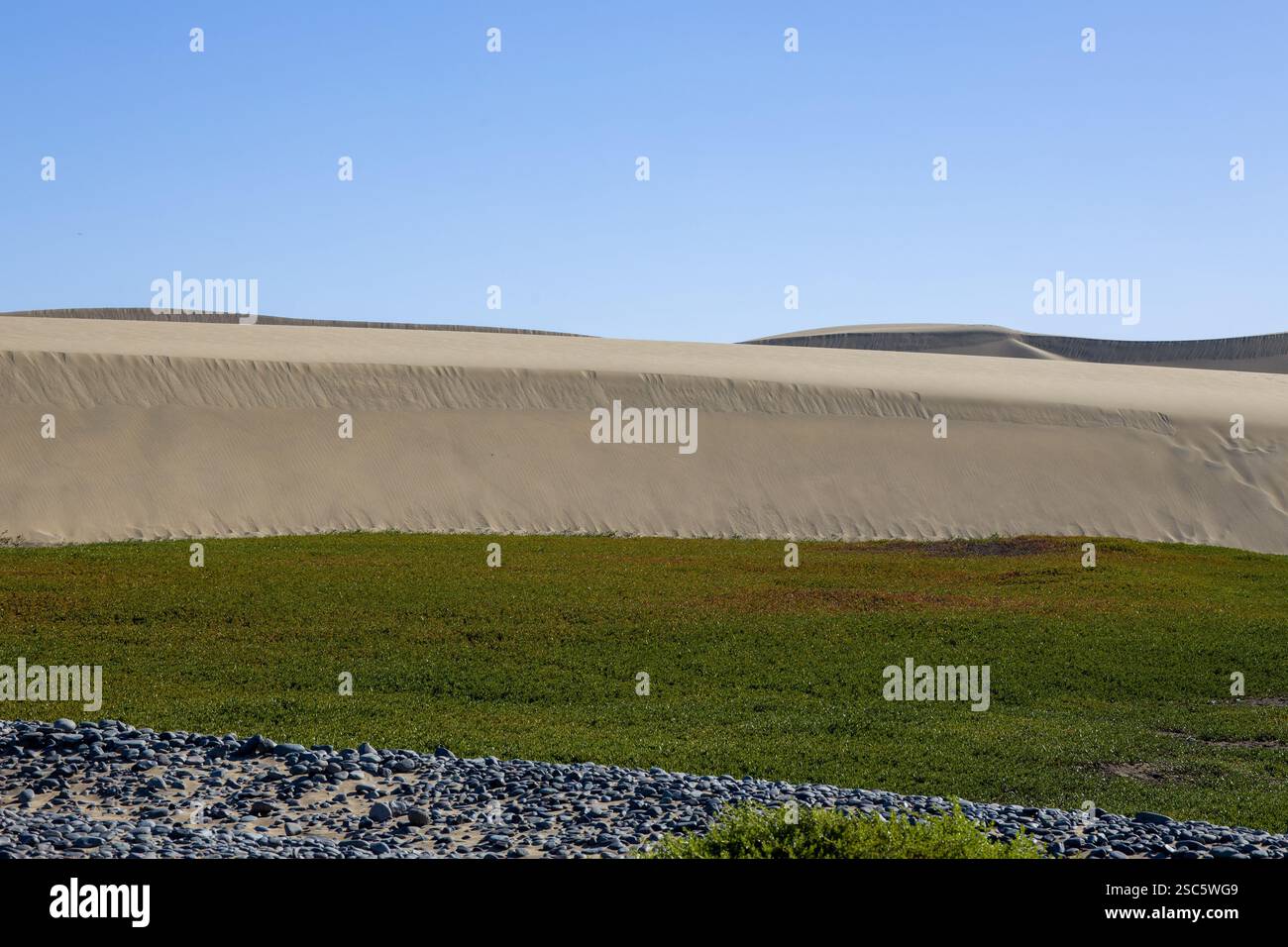 Dune di Maspalomas a Gran Canaria. Dune di sabbia con motivi, ombre e impronte deboli. Paesaggio desertico minimalista. Perfetto per la natura, t Foto Stock