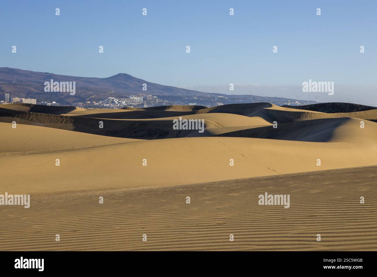 Dune di Maspalomas a Gran Canaria. Dune di sabbia con motivi, ombre e impronte deboli. Paesaggio desertico minimalista. Perfetto per la natura, t Foto Stock