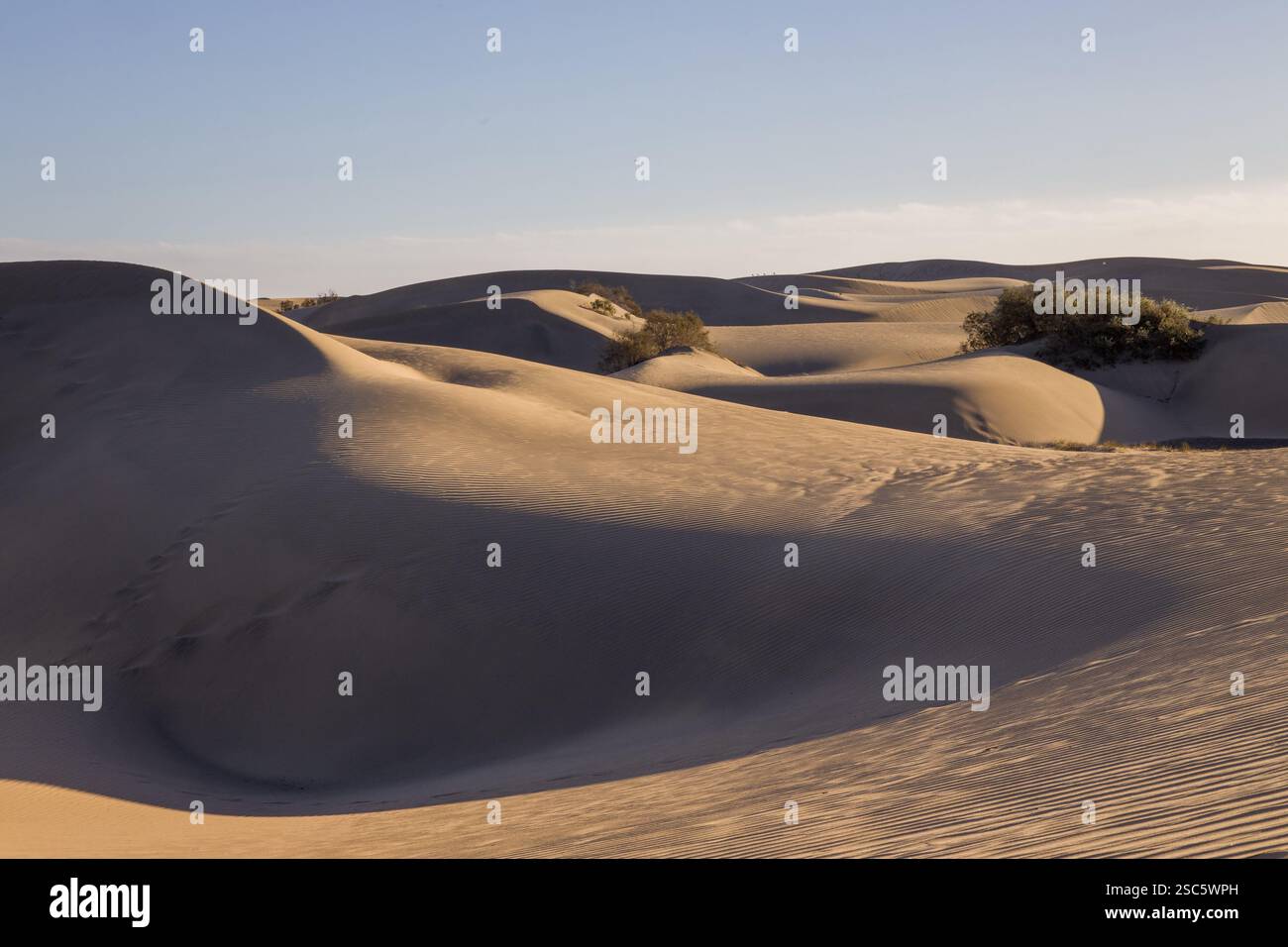 Dune di Maspalomas a Gran Canaria. Dune di sabbia con motivi, ombre e impronte deboli. Paesaggio desertico minimalista. Perfetto per la natura, t Foto Stock