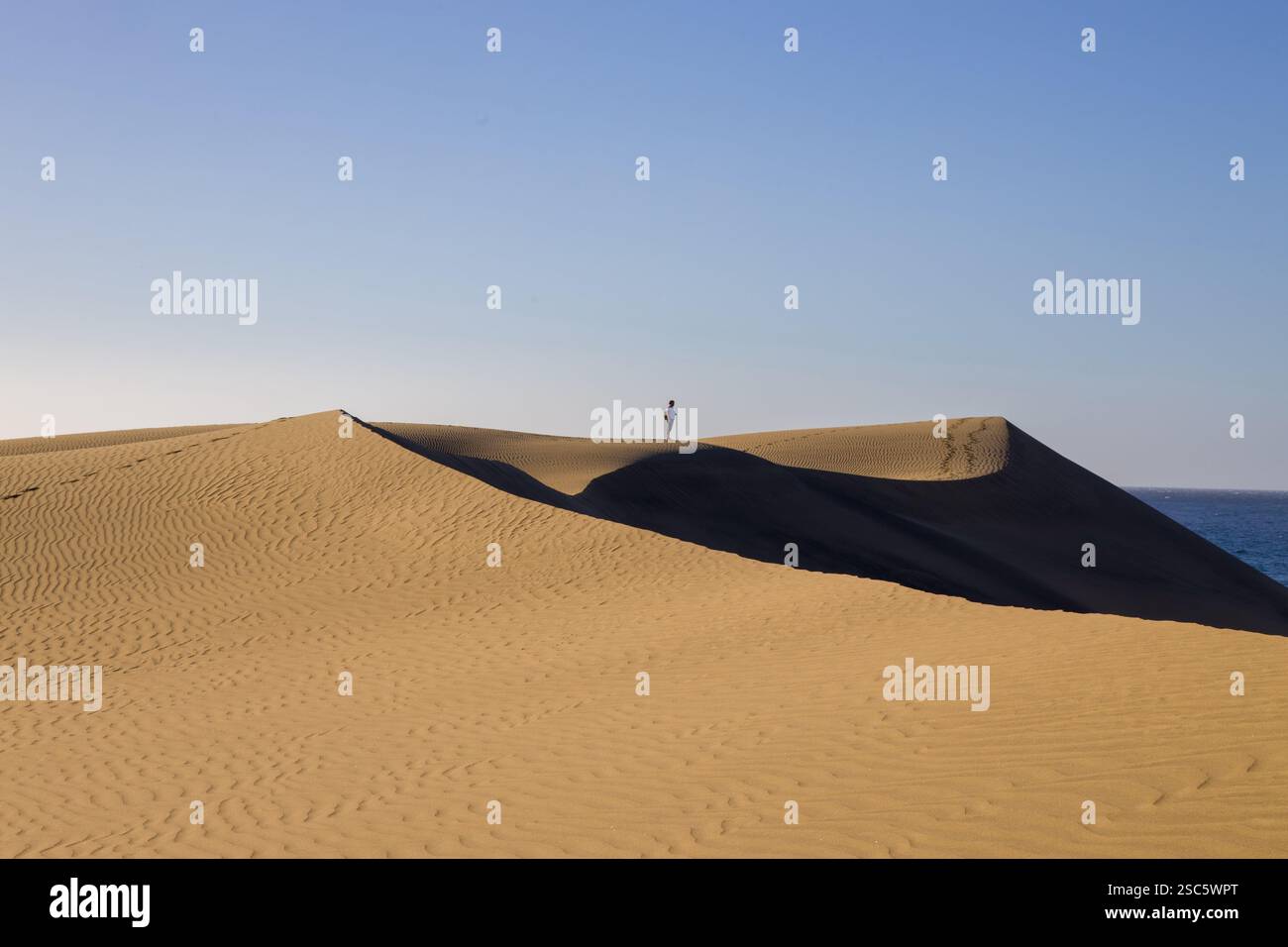 Dune di Maspalomas a Gran Canaria. Dune di sabbia con motivi, ombre e impronte deboli. Paesaggio desertico minimalista. Perfetto per la natura, t Foto Stock