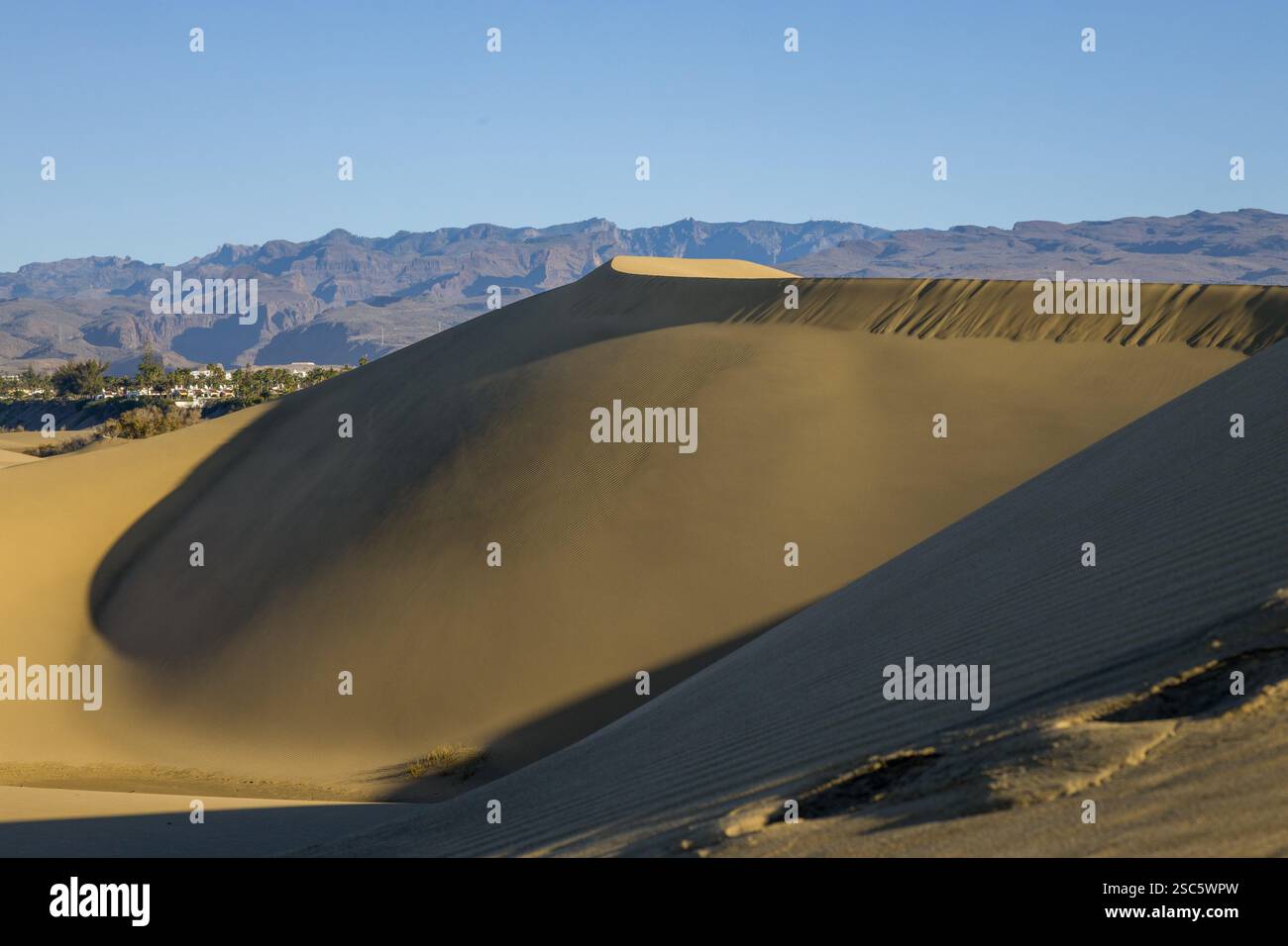 Dune di Maspalomas a Gran Canaria. Dune di sabbia con motivi, ombre e impronte deboli. Paesaggio desertico minimalista. Perfetto per la natura, t Foto Stock