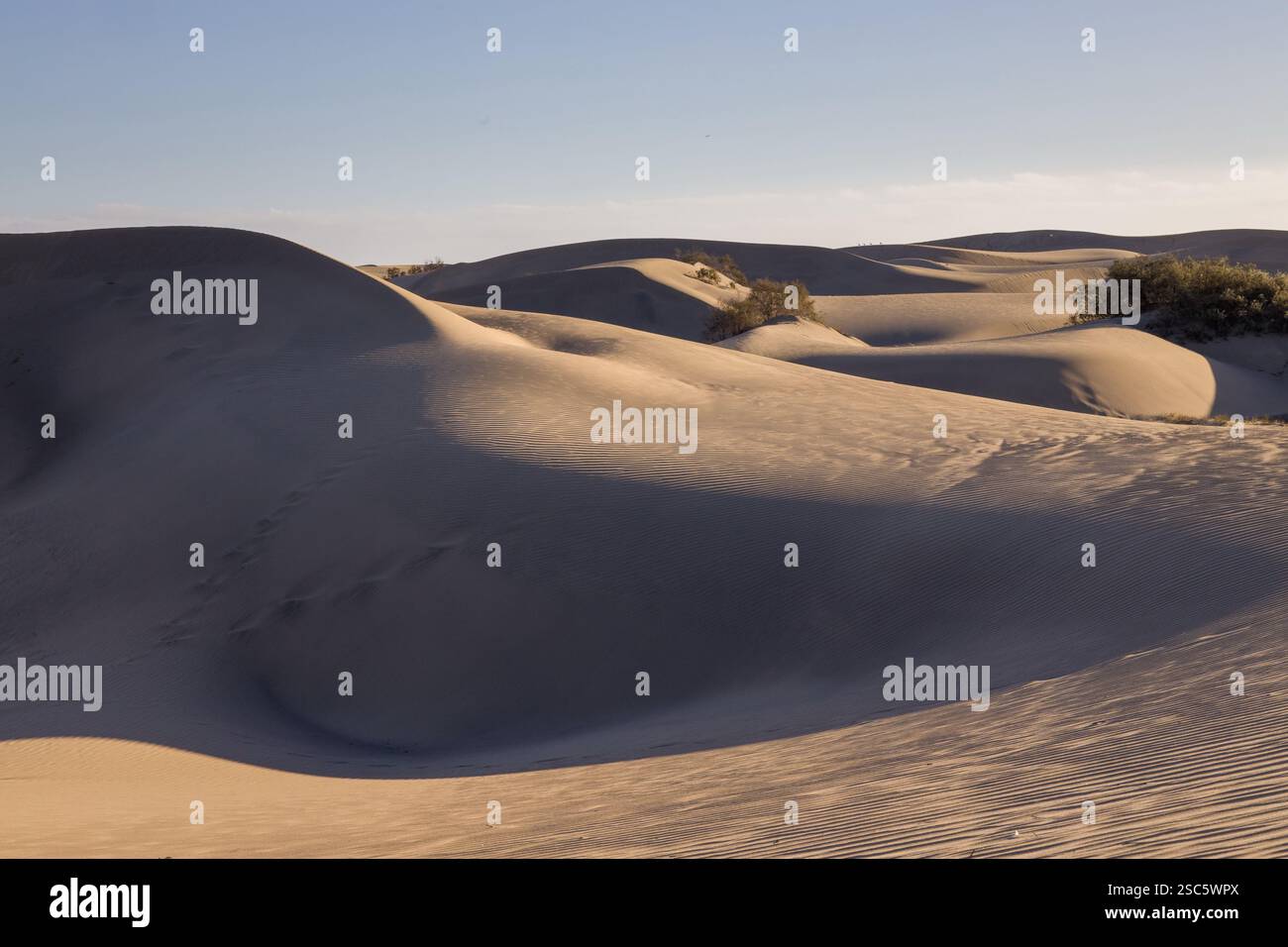 Dune di Maspalomas a Gran Canaria. Dune di sabbia con motivi, ombre e impronte deboli. Paesaggio desertico minimalista. Perfetto per la natura, t Foto Stock