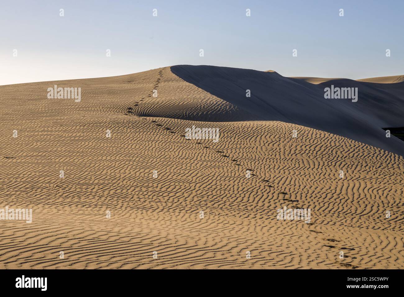Dune di Maspalomas a Gran Canaria. Dune di sabbia con motivi, ombre e impronte deboli. Paesaggio desertico minimalista. Perfetto per la natura, t Foto Stock