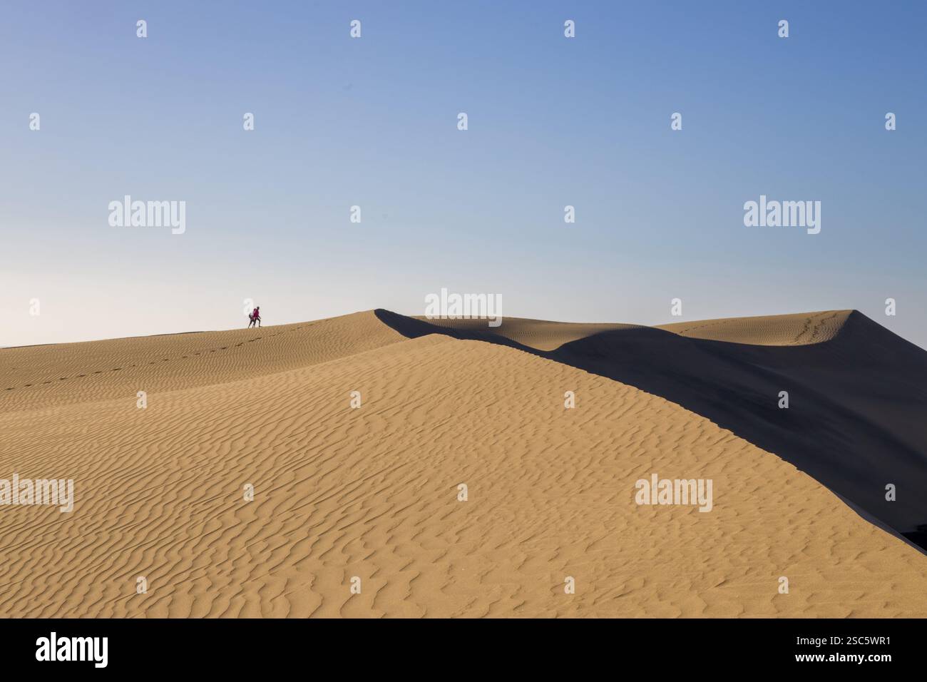 Dune di Maspalomas a Gran Canaria. Dune di sabbia con motivi, ombre e impronte deboli. Paesaggio desertico minimalista. Perfetto per la natura, t Foto Stock
