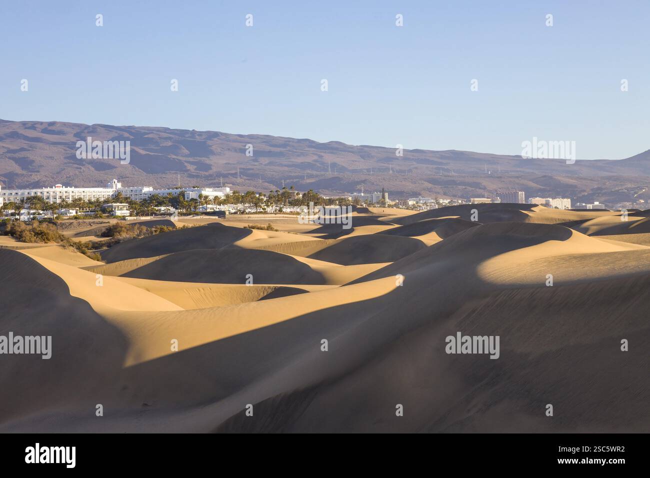 Dune di Maspalomas a Gran Canaria. Dune di sabbia con motivi, ombre e impronte deboli. Paesaggio desertico minimalista. Perfetto per la natura, t Foto Stock