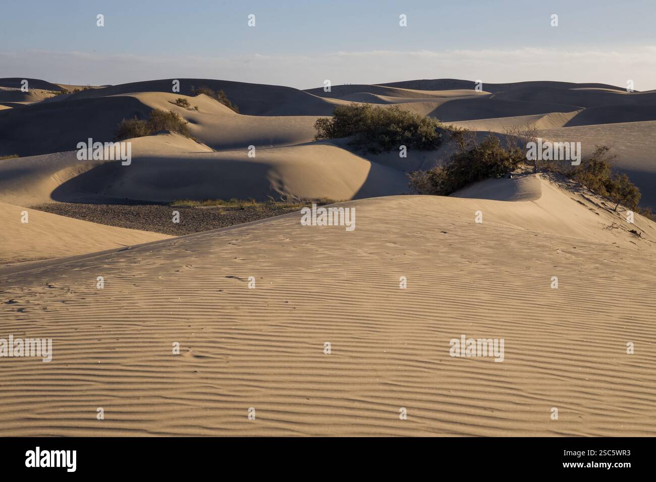 Dune di Maspalomas a Gran Canaria. Dune di sabbia con motivi, ombre e impronte deboli. Paesaggio desertico minimalista. Perfetto per la natura, t Foto Stock