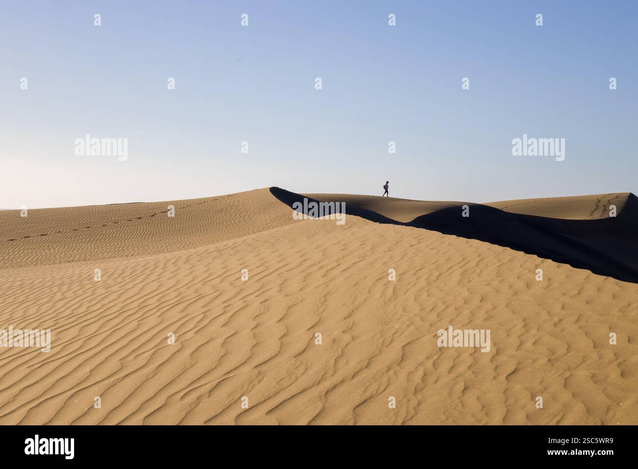 Dune di Maspalomas a Gran Canaria. Dune di sabbia con motivi, ombre e impronte deboli. Paesaggio desertico minimalista. Perfetto per la natura, t Foto Stock