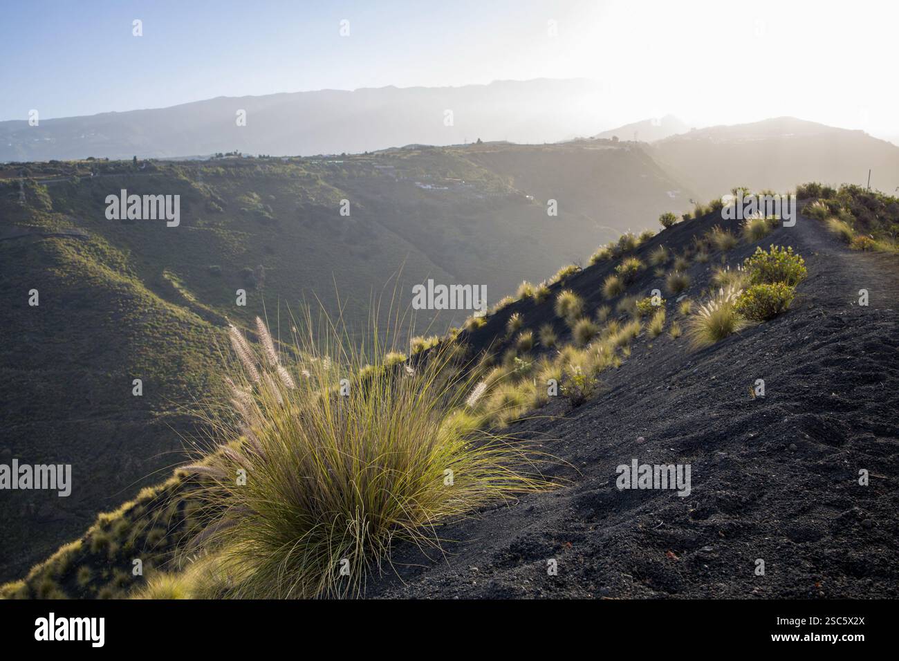 Paesaggio montuoso vicino a Bandama, Gran Canaria, con particolare attenzione all'erba ornamentale retroilluminata. Luce soffusa e dorata al crepuscolo o all'alba. Perfetto per i viaggi, la Foto Stock