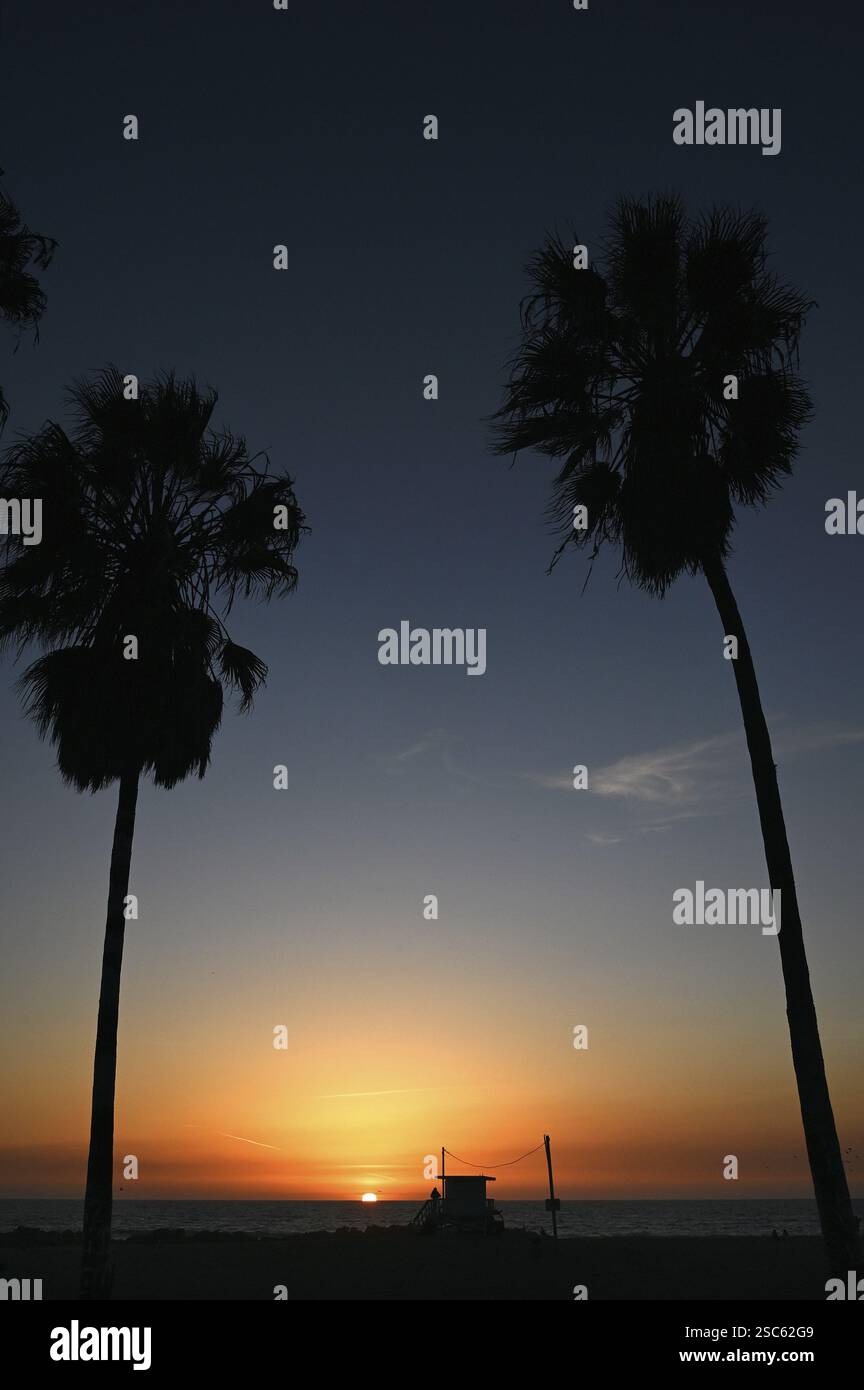 Tramonto con palme a Venice Beach, Los Angeles, California, USA, Nord America Foto Stock
