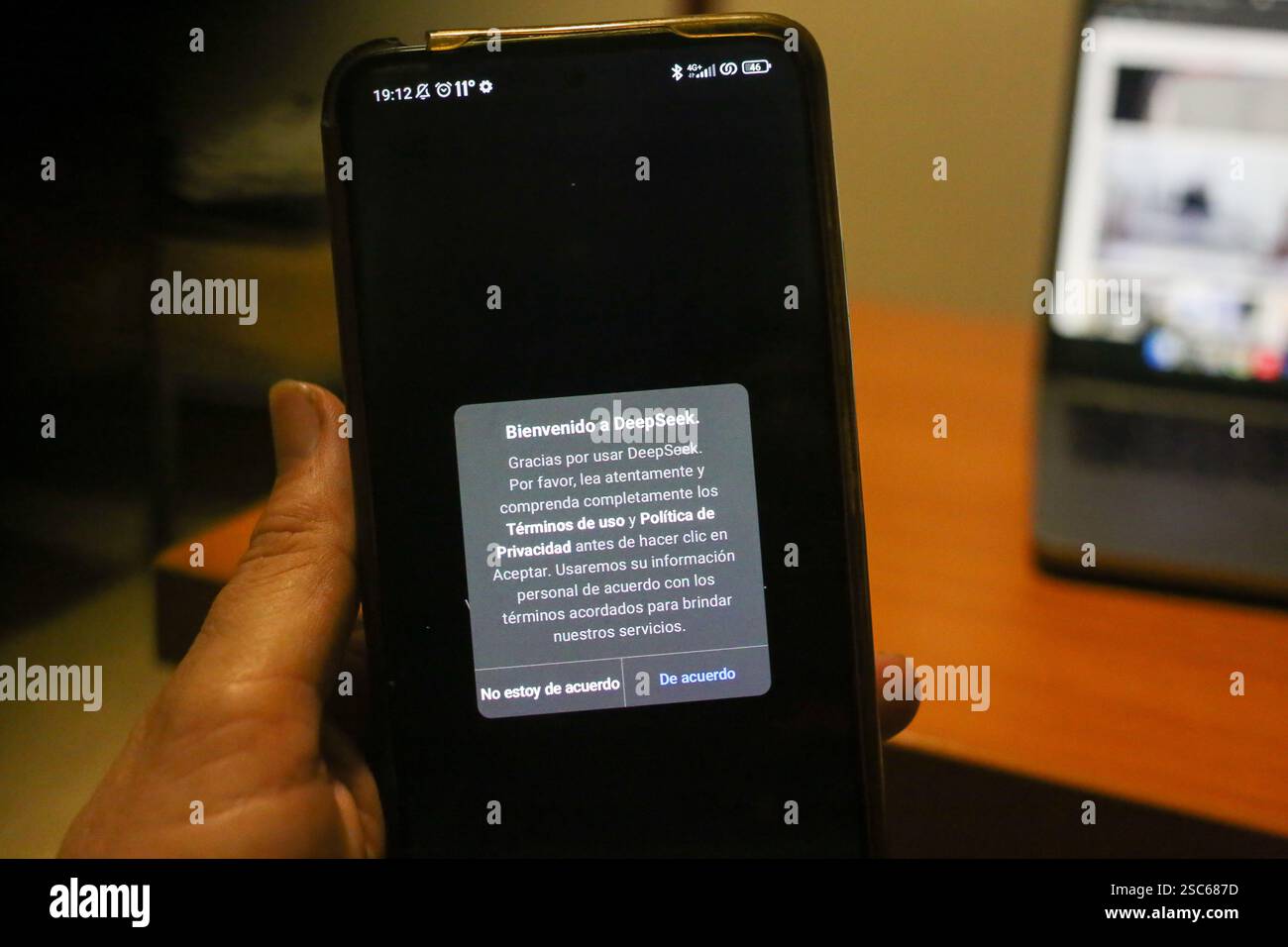 Carabanchel, Spagna, 03 febbraio 2025: Lo schermo dei termini di utilizzo e della politica sulla privacy durante Deepseek, l'assistente cinese di intelligenza artificiale che ha superato Chatgpt, il 3 febbraio 2025, a Carabanchel, Spagna. Crediti: Alberto Brevers / Alamy Live News. Foto Stock