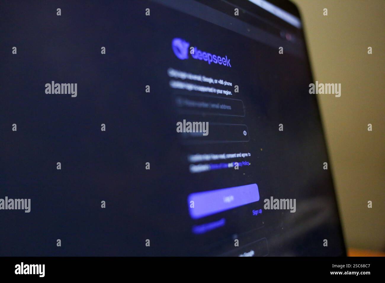 Carabanchel, Spagna, 03 febbraio 2025: Lo schermo per inserire i tuoi dati personali durante Deepseek, l'assistente cinese di intelligenza artificiale che ha superato Chatgpt, il 3 febbraio 2025, a Carabanchel, Spagna. Crediti: Alberto Brevers / Alamy Live News. Foto Stock