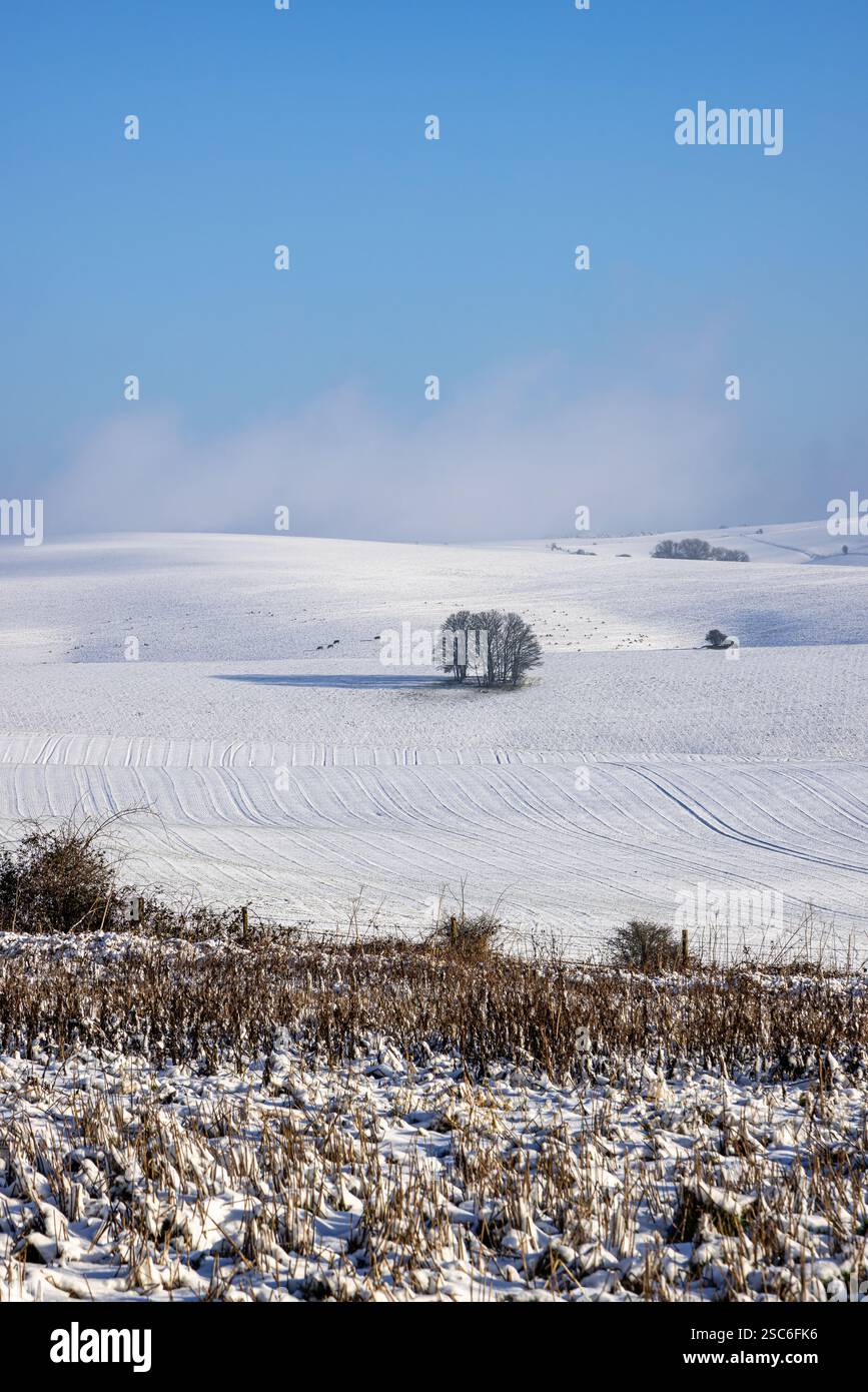 Un idilliaco paesaggio innevato nel Sussex rurale, in una giornata di sole a gennaio Foto Stock