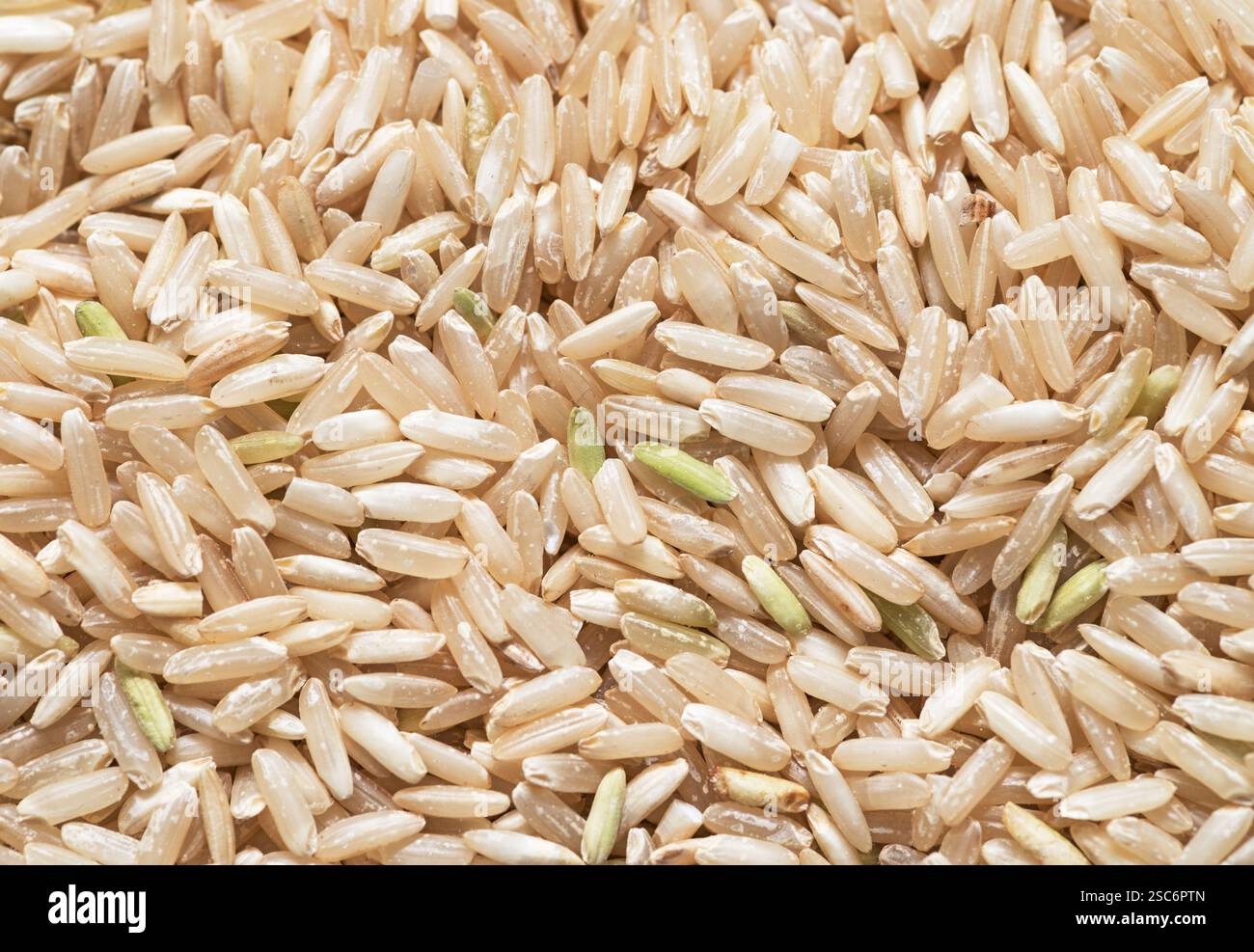 immagine di sfondo macro riso marrone Foto Stock